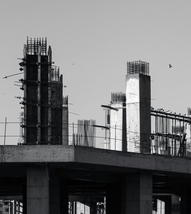 pexels imangholamiyan 34163730